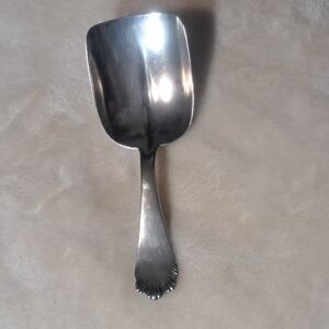 Elegant Silver Serving Spoon